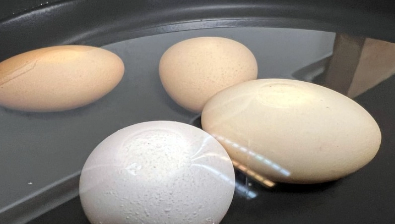 煮蛋技巧