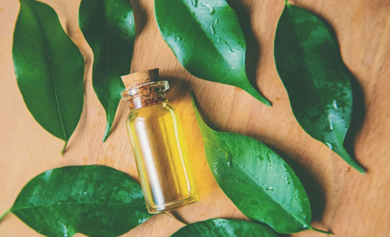 茶樹精油食用安全