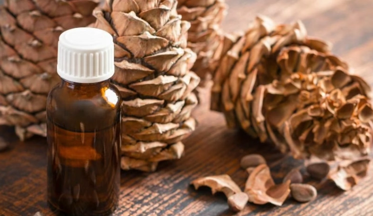 雪松精油治療濕疹