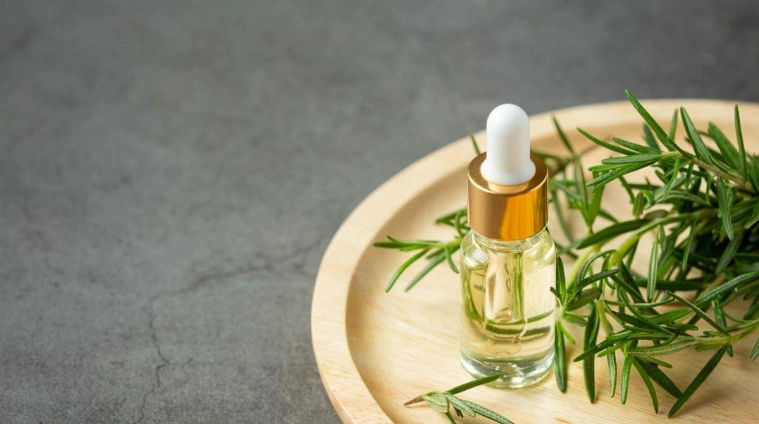 茶樹精油呼吸系統