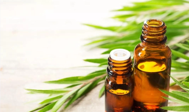 茶樹精油淨化空氣