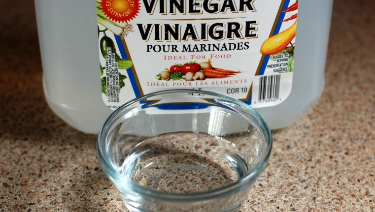 白醋除霉衣服方法