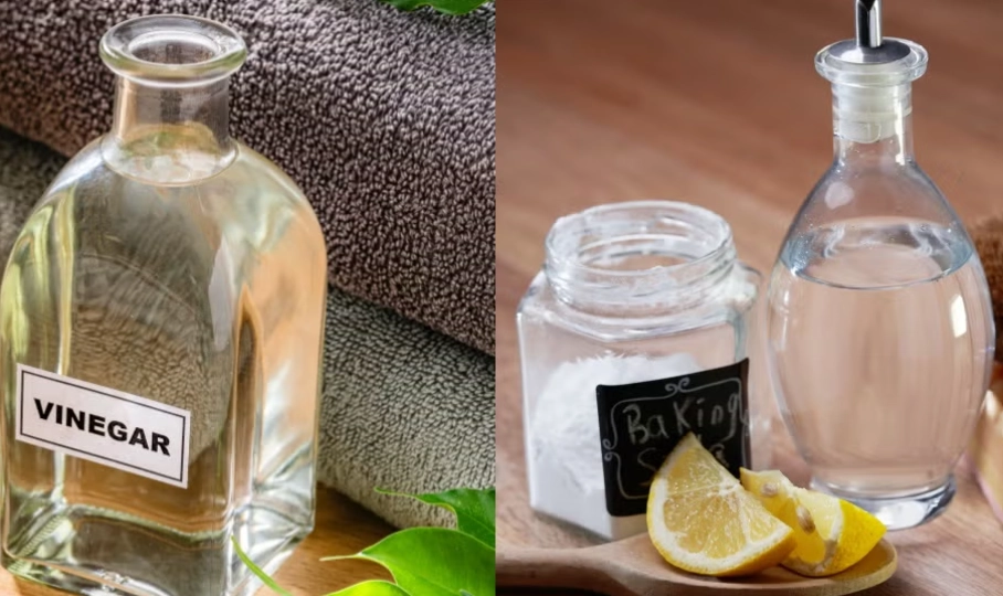 可樂白醋除霉