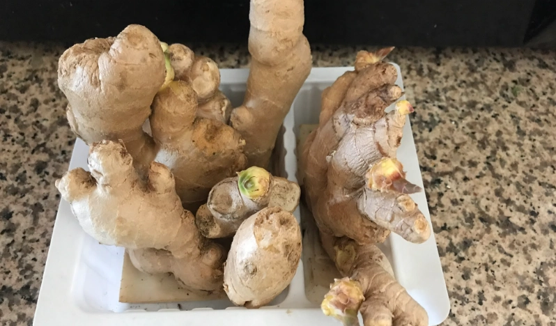 生薑保存方法