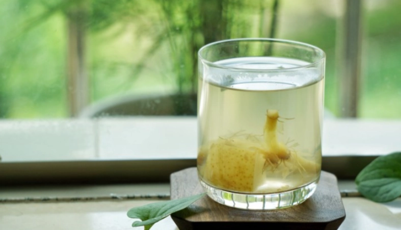 魚腥草雪梨水功效全攻略：清熱潤肺的自製養生飲品