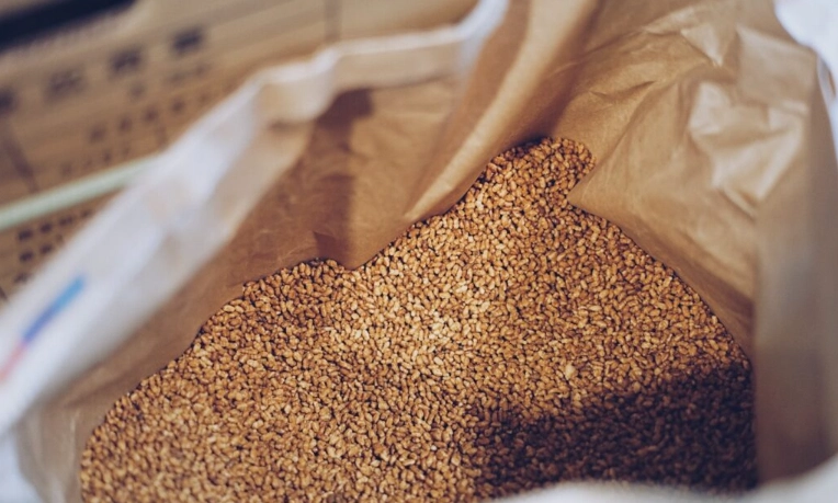 孕婦 可以喝玄米茶嗎