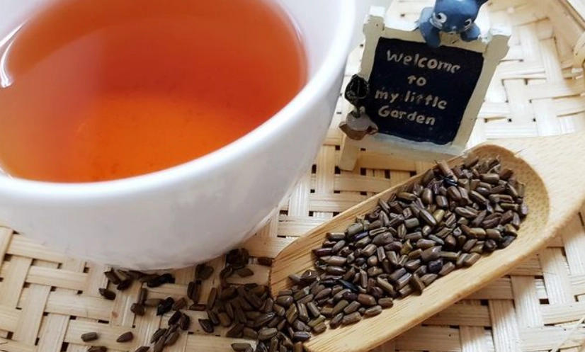 決明子茶副作用