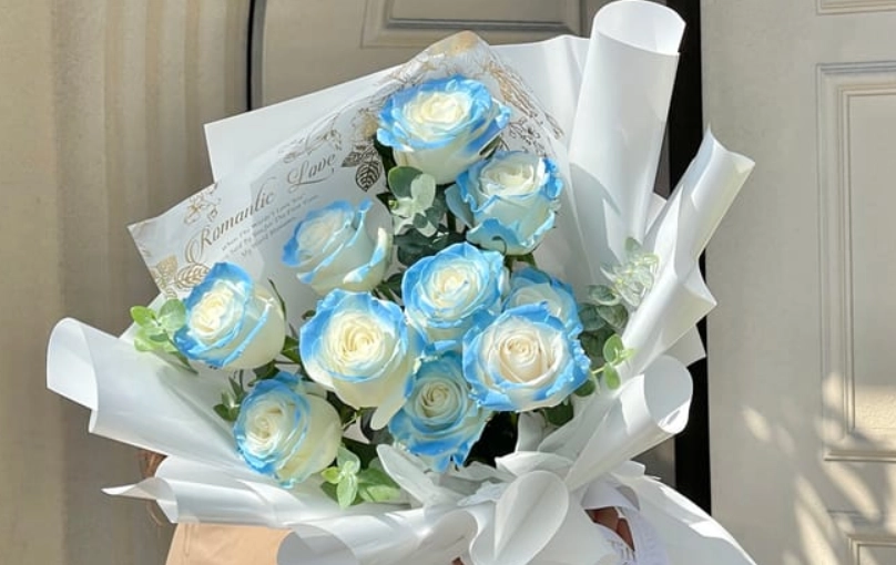 碎冰藍玫瑰 花語