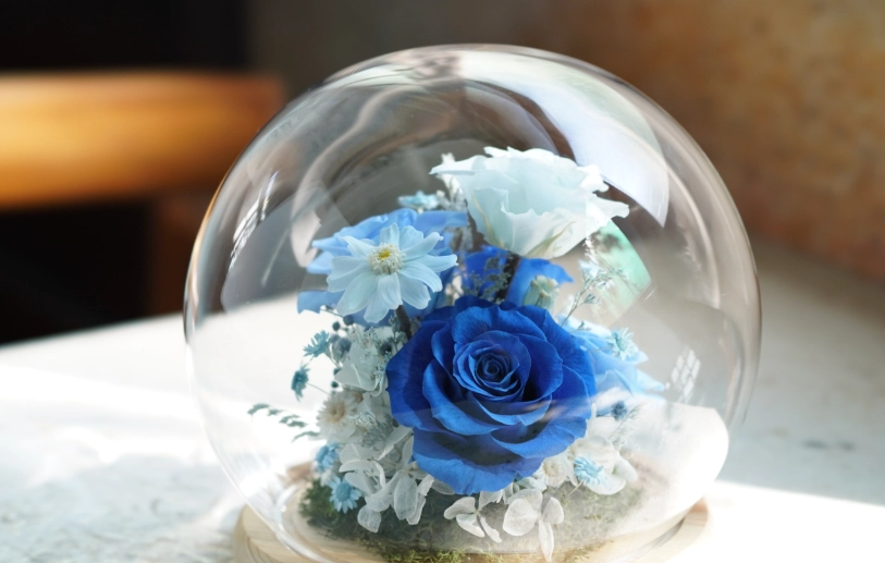 永生花玫瑰 價格