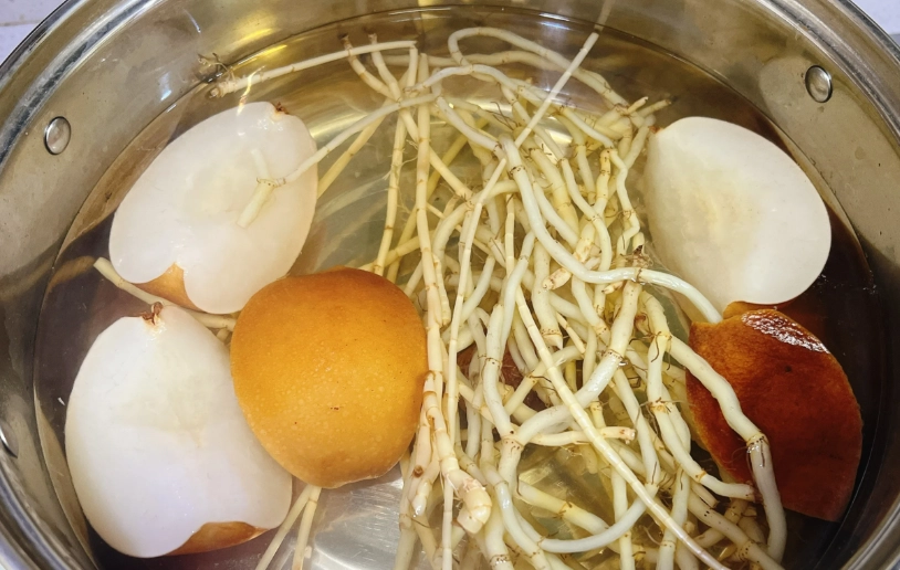 魚腥草雪梨水功效