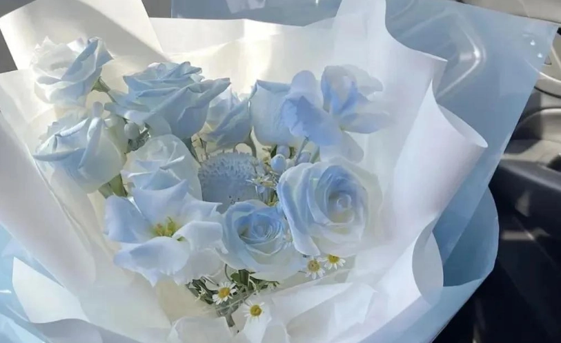 碎冰藍玫瑰 花語