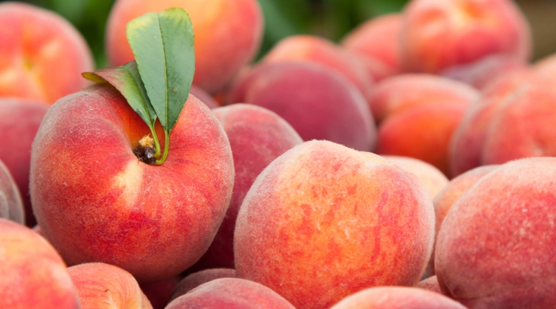 日本水蜜桃購買指南