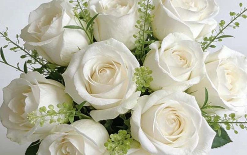 粉玫瑰白玫瑰搭配