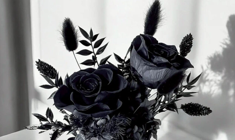 黑色玫瑰保存方法 黑色玫瑰保存方法