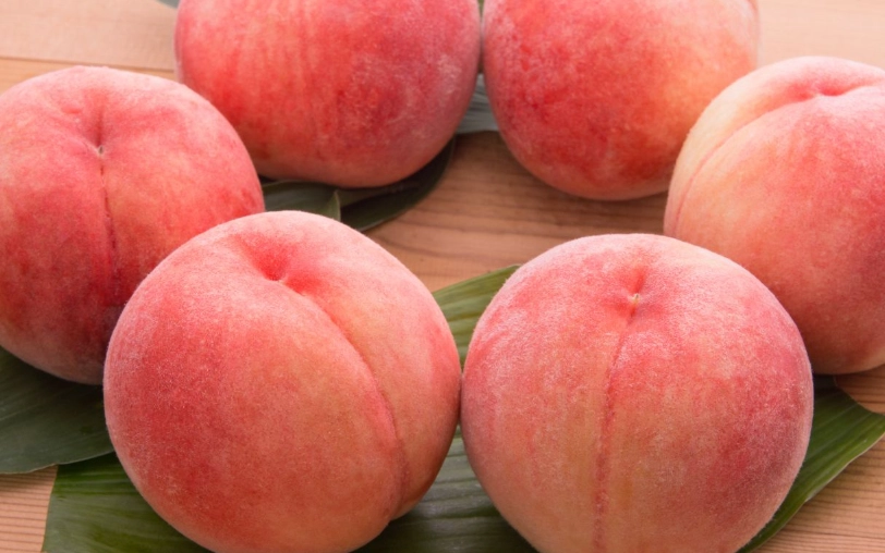 沖繩水蜜桃品種