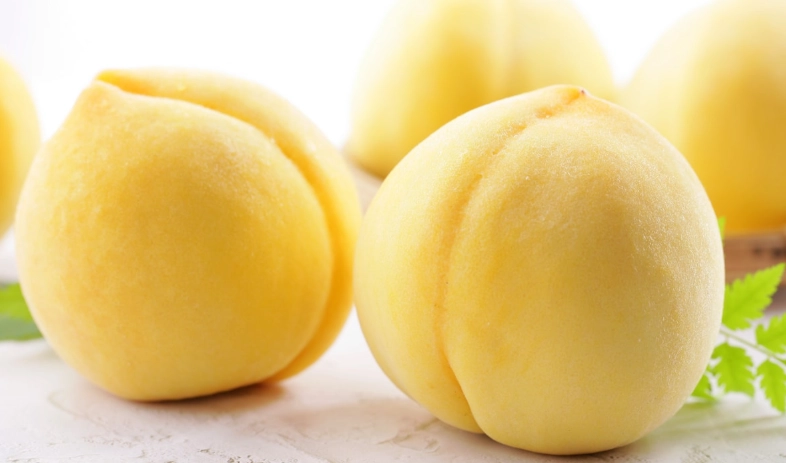 黃金水蜜桃品種