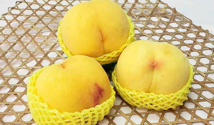 黃金水蜜桃品種