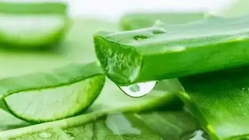 蘆薈敷臉方法