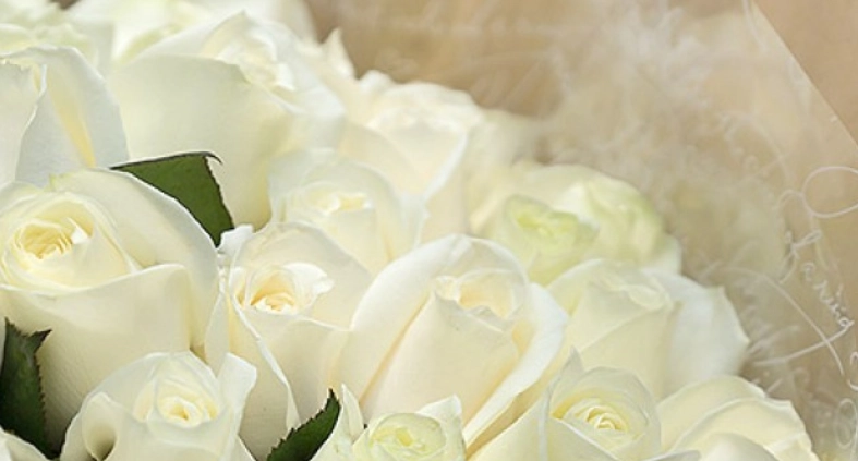 白色玫瑰 花語