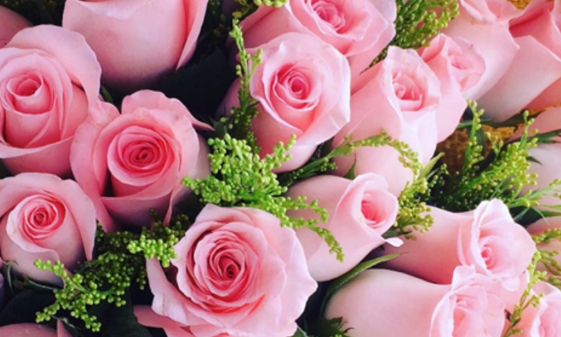 玫瑰花數量代表