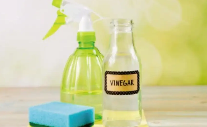 白醋殺菌