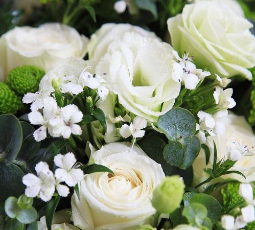 白玫瑰歌詞意思