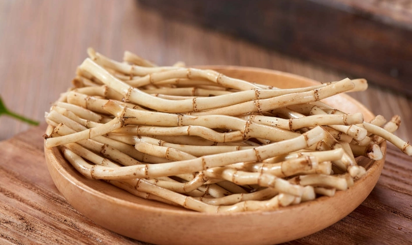 魚腥草的根可以吃嗎？完整解析食用方法、功效與注意事項