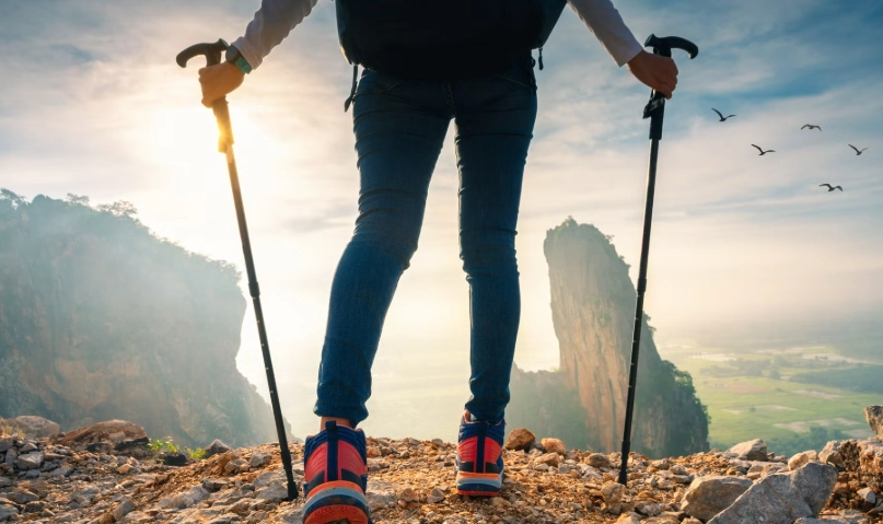 登山杖選購指南