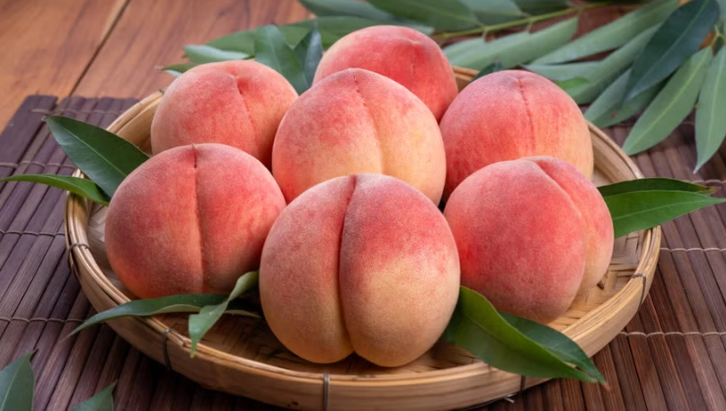 日本水蜜桃 產季