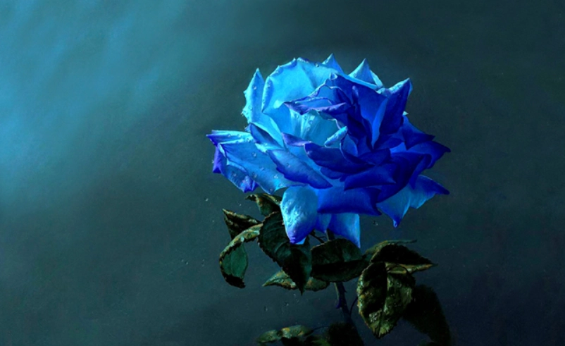 藍玫瑰象徵